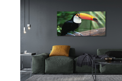 Glasbilder Toucan auf einem ast