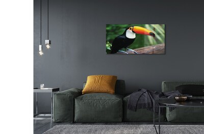 Glasbilder Toucan auf einem ast