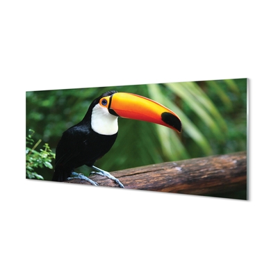 Glasbilder Toucan auf einem ast