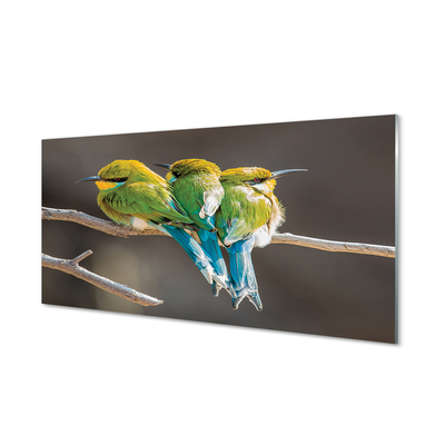 Glasbilder Vögel auf einem ast