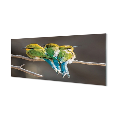 Glasbilder Vögel auf einem ast