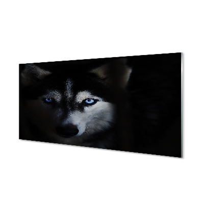Glasbilder Wolf augen