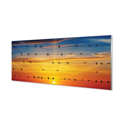 Glasbilder Vögel auf sonnenuntergang seile