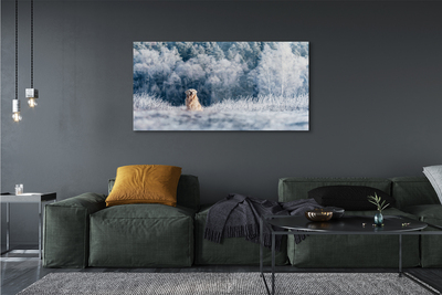 Glasbilder Winter-berghund