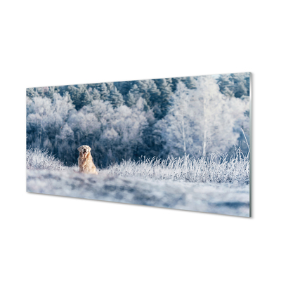 Glasbilder Winter-berghund