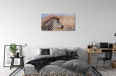 Glasbilder Zebra