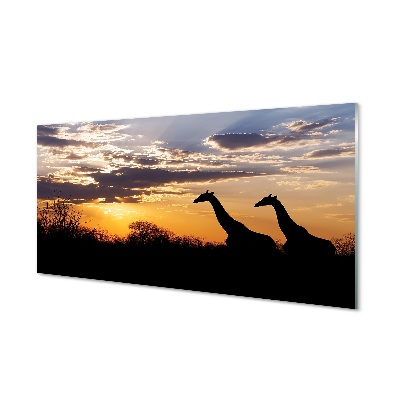 Glasbilder Wolken girafes welle