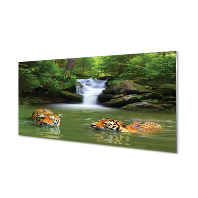 Glasbilder Wasserfall tiger
