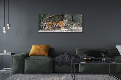 Glasbilder Tiger dschungel