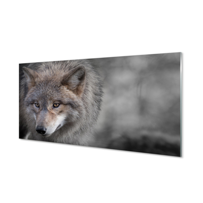 Glasbilder Wolf