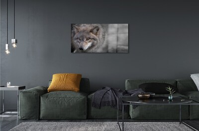 Glasbilder Wolf