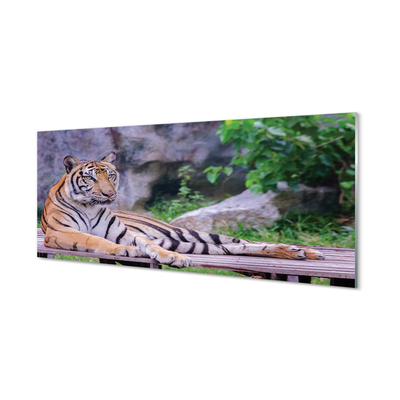 Glasbilder Tiger in einem zoo
