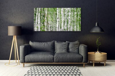 Glasbilder Birken Wald Bäume Natur