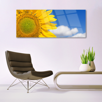 Glasbilder Sonnenblume Wolken Pflanzen