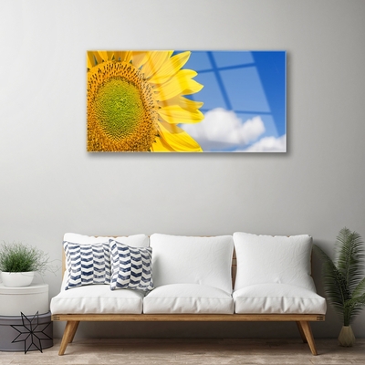 Glasbilder Sonnenblume Wolken Pflanzen