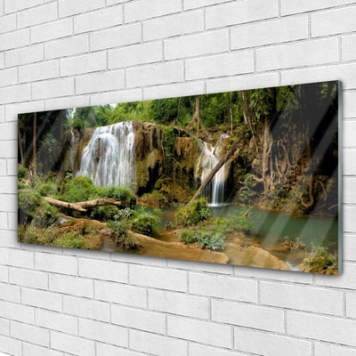 Glasbilder Wasserfall Fluss Wald Natur