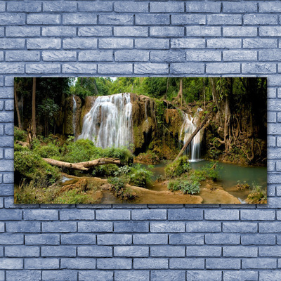 Glasbilder Wasserfall Fluss Wald Natur