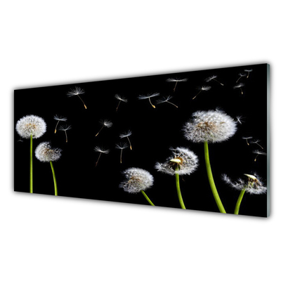 Glasbilder Pusteblumen Pflanzen