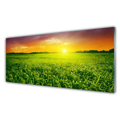 Glasbilder Getreidefeld Sonnenaufgang Pflanzen