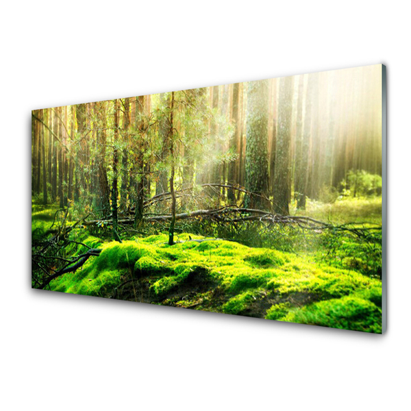 Glasbilder Wandbild Druck auf Glas 120x60 Moos Wald Natur 