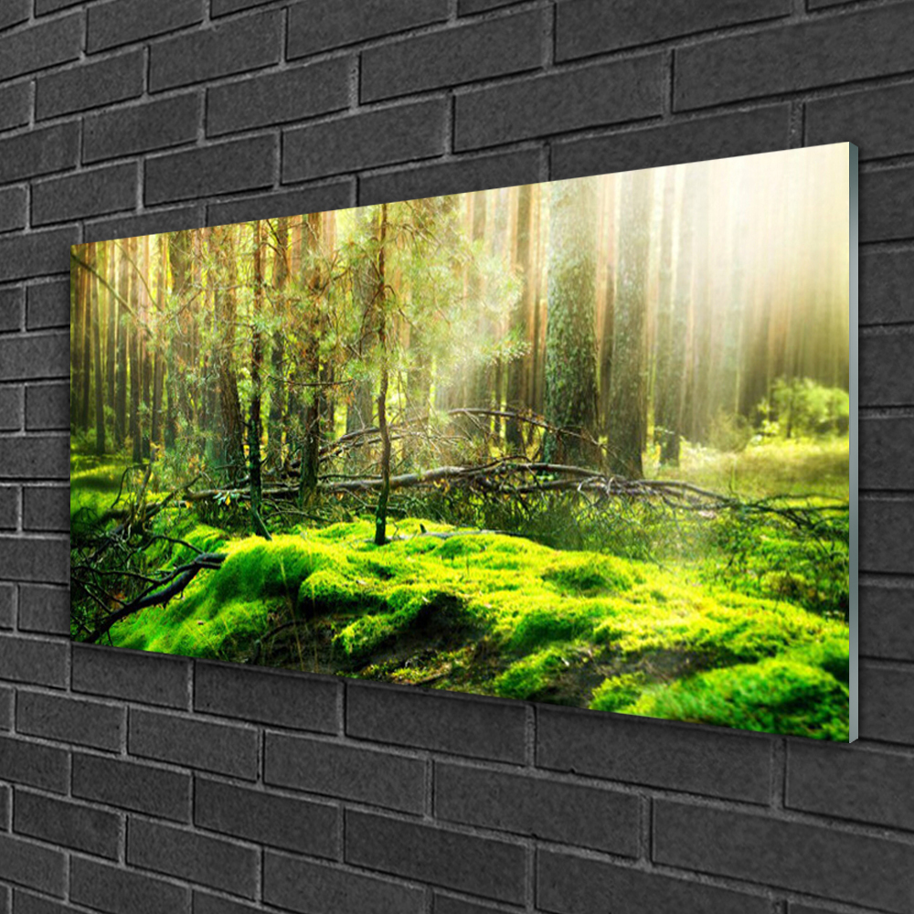 Tulup Acrylglasbilder Wandbilder Dekobild 120x60 Wald Natur 