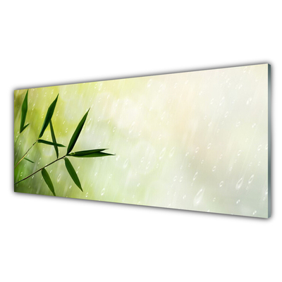 Glasbilder Blätter Regen Pflanzen