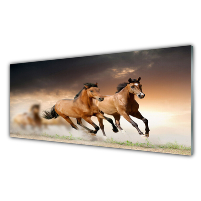 Glasbilder Pferde Tiere