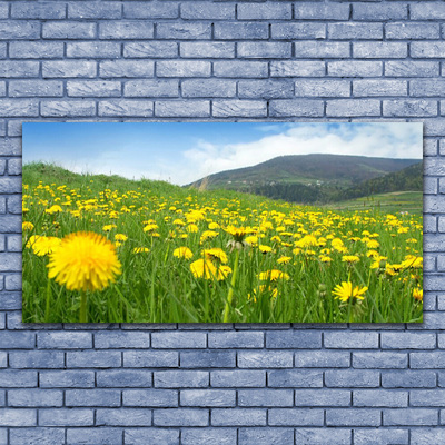 Glasbilder Löwenzahn Feld Natur