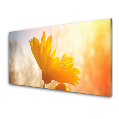 Glasbilder Sonnenblume Pflanzen