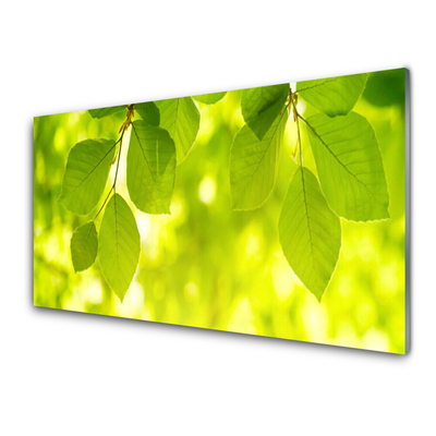 Glasbilder Blätter Pflanzen