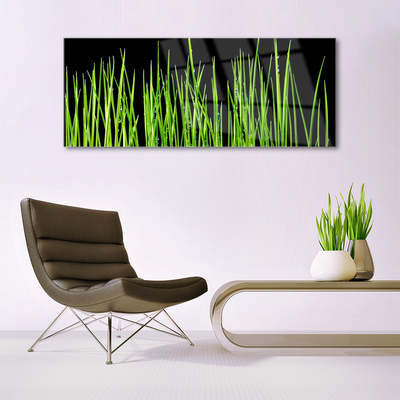 Glasbilder Gras Pflanzen