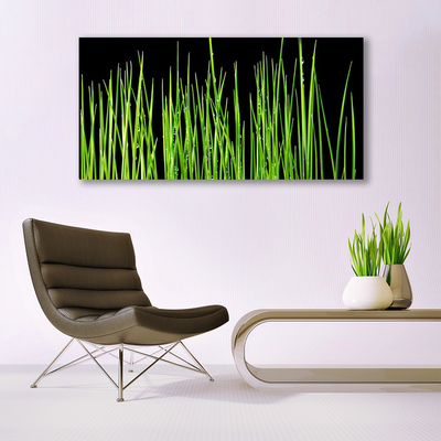Glasbilder Gras Pflanzen