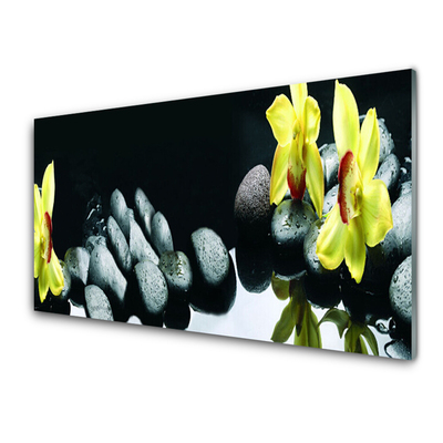 Glasbilder Blumen Steine Pflanzen
