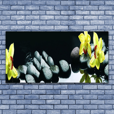 Glasbilder Blumen Steine Pflanzen