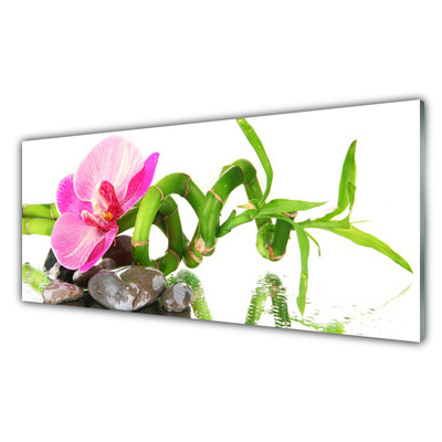 Glasbilder Blume Pflanzen