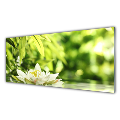 Glasbilder Blume Blätter Pflanzen