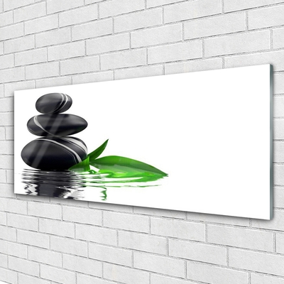 Glasbilder Steine Blätter Wasser Kunst