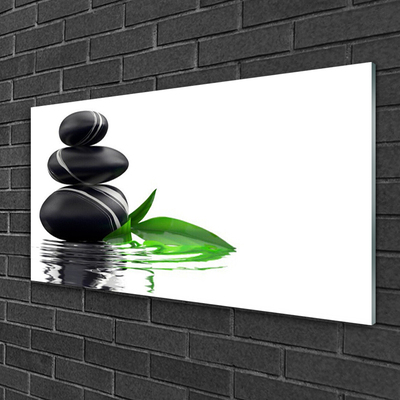 Glasbilder Steine Blätter Wasser Kunst