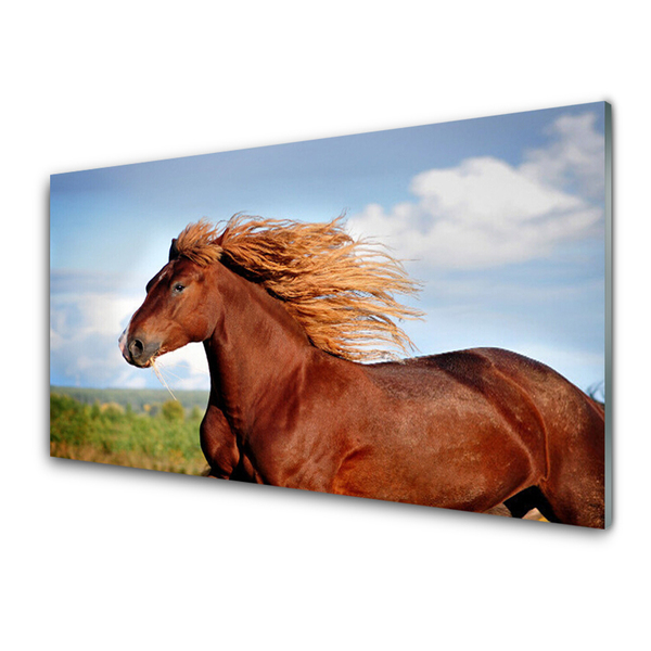 Glasbilder Pferd Tiere