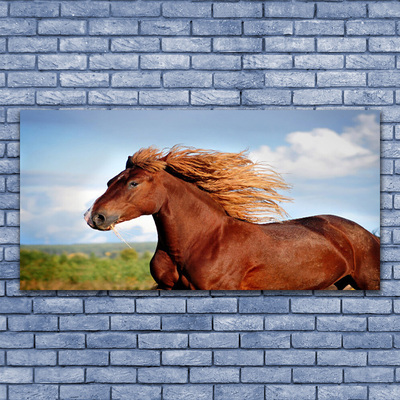 Glasbilder Pferd Tiere