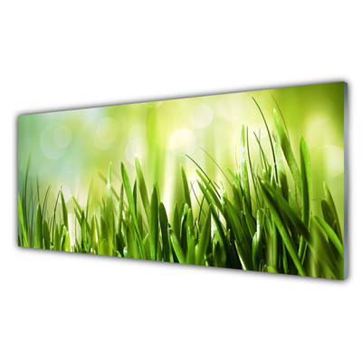 Glasbilder Gras Natur