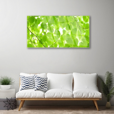Glasbilder Blätter Natur