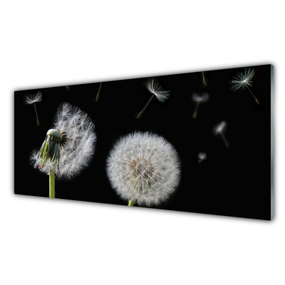 Glasbilder Pusteblume Pflanzen
