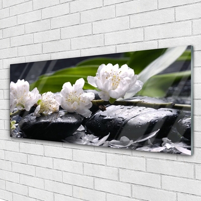 Tulup Glasbilder Wandbild Dekobild 100x50 Bambusrohre Blume Steine Pflanzen 