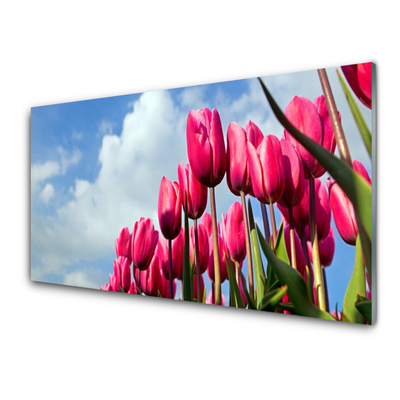 Glasbilder Tulpe Pflanzen
