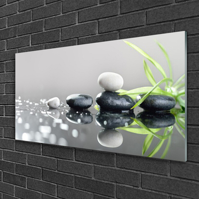 Glasbilder Wandbild Druck auf Glas 120x60 Gras Steine Kunst 