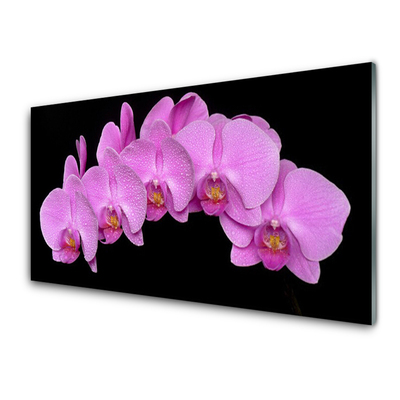 Glasbilder Blumen Pflanzen