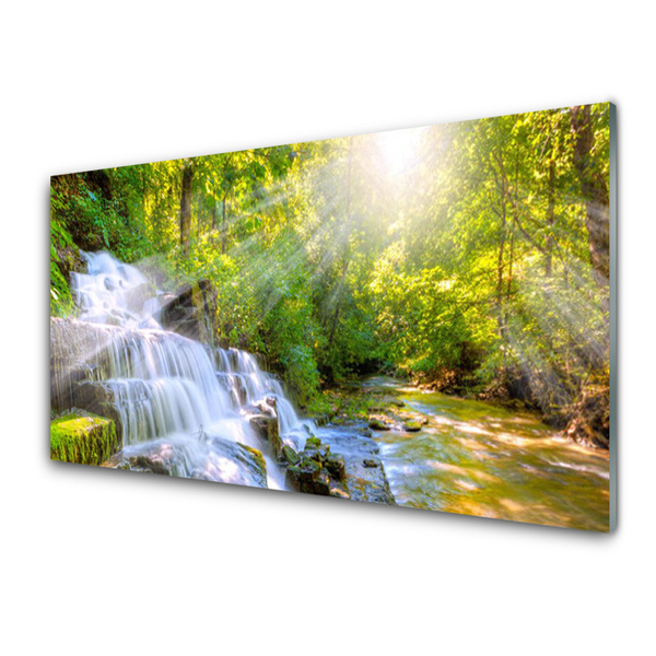 Glasbilder Wasserfall Wald Natur