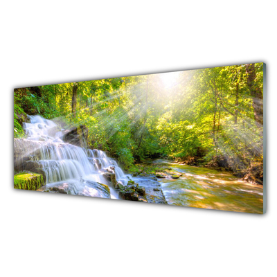 Glasbilder Wasserfall Wald Natur