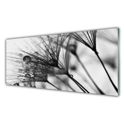 Glasbilder Abstraktes Pflanzen